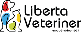 eryaman-veteriner-liberta